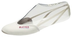 Bleyer 1828
